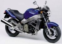 Honda X11 2000 - Blaue Version - Dekorset