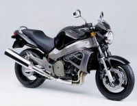 Honda X11 2000 - Black Version - Decalset