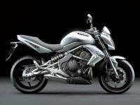 Kawasaki ER-6N 2009 - Silver Version - Decalset