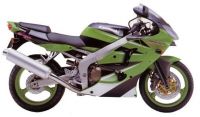 Kawasaki ZX-6R 2000 - Green Version - Decalset