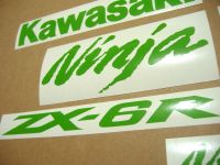 Kawasaki ZX-6R - Lime-Grün - Custom-Dekorset