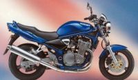 Suzuki Bandit 600N 1996 - Blaue Version - Dekorset