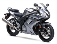 Suzuki SV 650S 2009 - Grey Version - Decalset