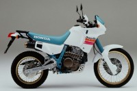 Honda NX 650 DOMINATOR 1991 - Weiß/Grün Version - Dekorset