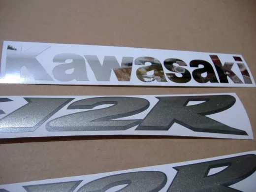 Kawasaki ZX-12R 2005 - Silber Version - Dekorset