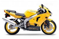 Kawasaki ZX-6R 2002 - Yellow Version - Decalset