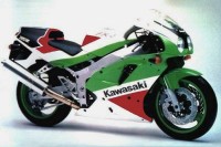 Kawasaki ZXR 750 1992 - Grün/Weiß/Rot Version - Dekorset