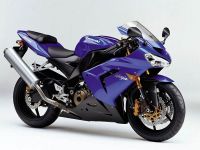 Kawasaki ZX-10R 2005 - Blaue Version - Dekorset