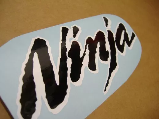 Kawasaki 250R Ninja 2007 - Silber/Chrome Rote Version - Dekorset