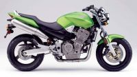 Honda CB919F Hornet 2004 - Green Version Decalset