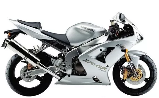 Kawasaki ZX-6R 2004 - Silber Version - Dekorset