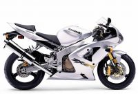 Kawasaki ZX-6R 2003 - Silber Version - Dekorset