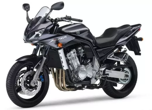 Yamaha FZS1000 Fazer 2005 - Titangrau Version - Dekorset