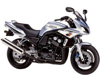 Yamaha FZS600 Fazer 2002 - Silber Version - Dekorset