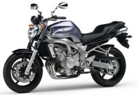 Yamaha FZ6 2004 - Titangraue Version - Dekorset