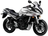 Yamaha FZ6 Fazer S2 2008 - Silber Version - Dekorset