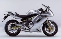 Kawasaki ER-6F 2007 - Silber Version - Dekorset