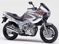 Yamaha TDM 850 4TX 2000 - Silber/Graue Version - Dekorset