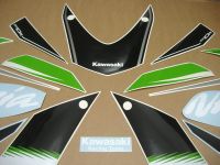 Kawasaki ZX-10R 2016 - Grüne/Schwarze Version - Dekorset