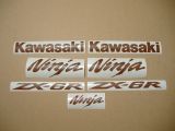 Kawasaki ZX-6R - Leather - Custom-Decalset