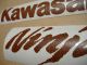 Kawasaki ZX-10R Universal - Leder - Custom-Dekorset