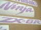 Kawasaki ZX-6R - Violett - Custom-Dekorset