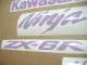 Kawasaki ZX-6R - Violett - Custom-Dekorset
