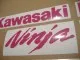 Kawasaki ZX-6R - Pink - Custom-Dekorset