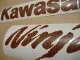 Kawasaki ZX-6R - Leder - Custom-Dekorset