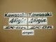 Kawasaki ZX-6R - Camouflage - Custom-Dekorset