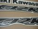 Kawasaki ZX-12R - Matte-Black - Custom-Decalset