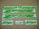 Kawasaki ZX-12R - Lime-Grün - Custom-Dekorset