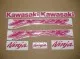 Kawasaki ZX-12R - Pink - Custom-Dekorset