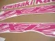 Kawasaki ZX-12R - Pink - Custom-Dekorset