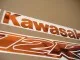 Kawasaki ZX-12R - Chrome-Orange - Custom-Dekorset