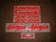 Kawasaki ZX-10R - Reflektierend Rot - Custom-Dekorset