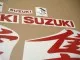 Suzuki Hayabusa 2008-2015 - Reflektierend Rot - Custom-Dekorset