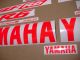 Yamaha YZF-R6 2003-2009 - Neon-Red - Custom-Decalset