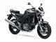 Suzuki SV 650 2008 - Schwarze Version - Dekorset