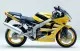 Kawasaki ZX-6R 2001 - Gelb Version - Dekorset