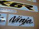 Kawasaki ZX-6R 2002 - Yellow Version - Decalset