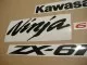 Kawasaki ZX-6RR 2006 - Grün Version - Dekorset
