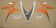 Honda CBR 1000RR 2010 - Orange/Silver Version - Decalset