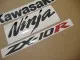 Kawasaki ZX-10R 2006 - Grüne Version - Dekorset