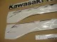 Kawasaki ZX-9R 2003 - Graue Version - Dekorset