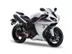 Yamaha YZF-R1 RN22 2009 - Weiß/Rote EU Version - Dekorset