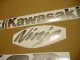 Kawasaki ZX-6R 2004 - Silber Version - Dekorset