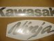 Kawasaki ZX-6R 2004 - Silver Version - Decalset