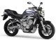 Yamaha FZ6 S2 2007 - Titangrau Version - Dekorset