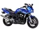 Yamaha FZS600 Fazer 2001 - Blaue Version - Dekorset